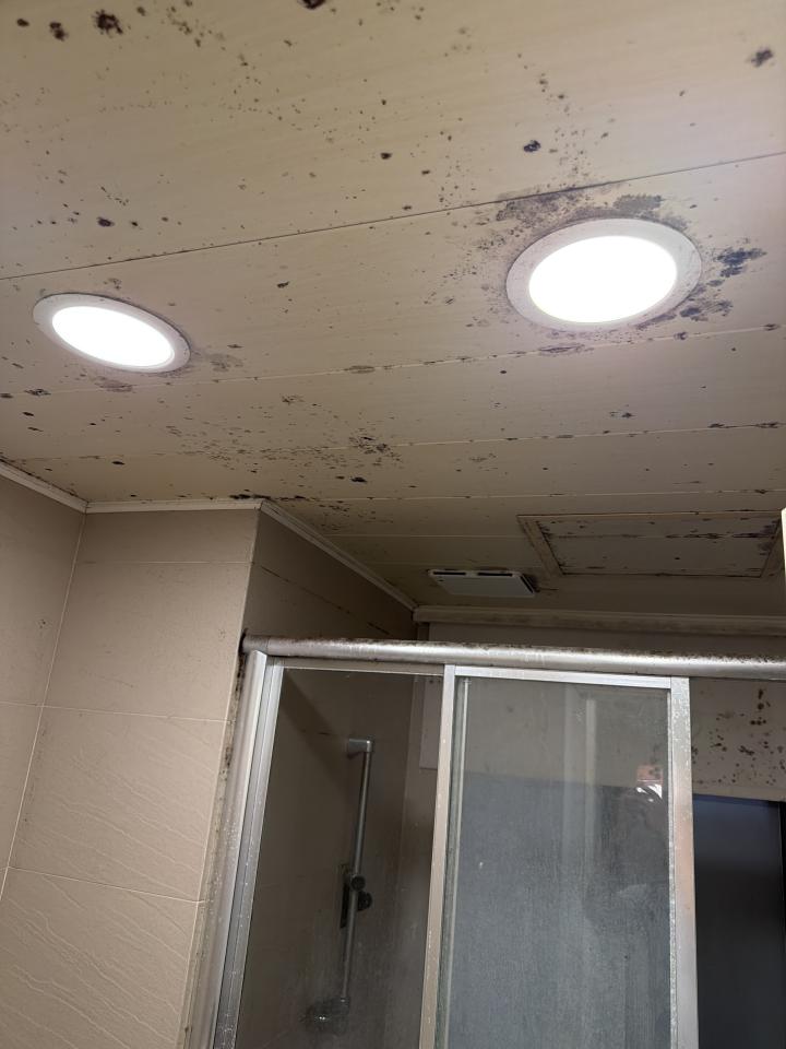 浴室除霉清潔案件圖片