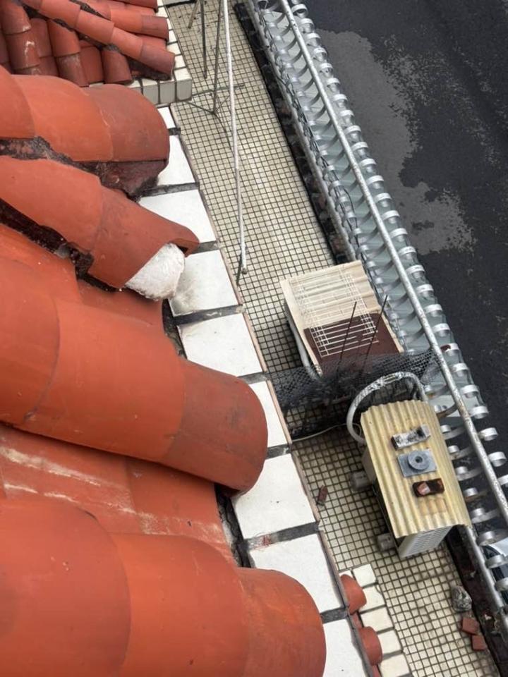 屋瓦翻修案件圖片