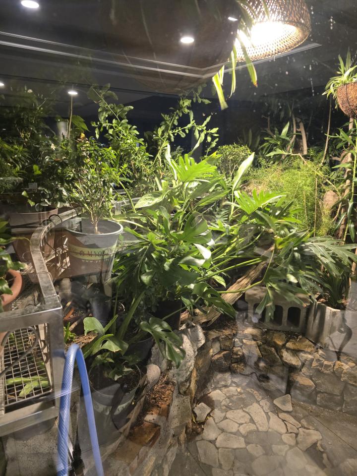 花園自動灑水系統案件圖片