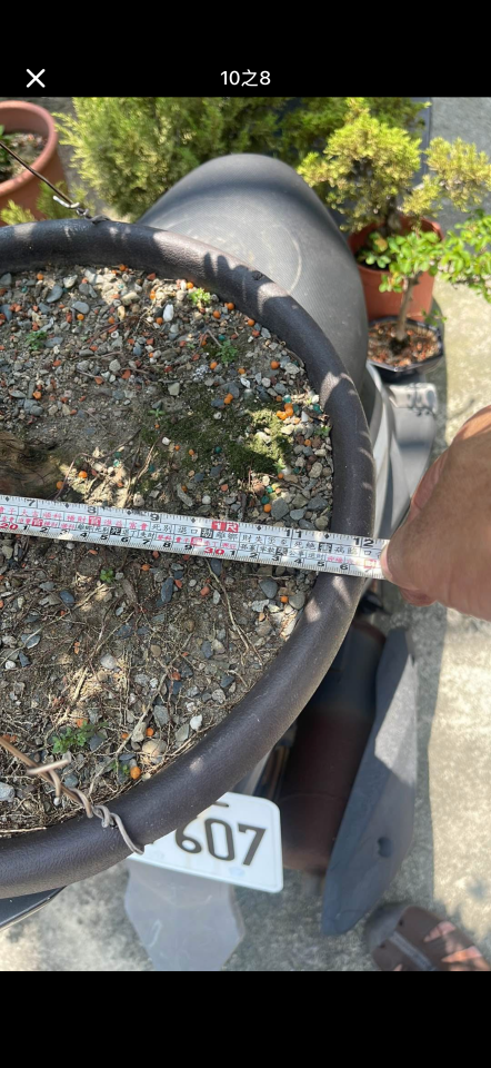 載貨運輸服務案件圖片