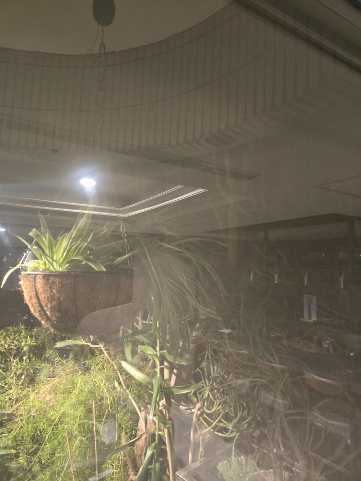 花園自動灑水系統案件圖片