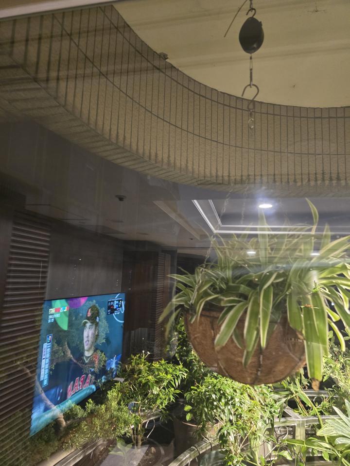 花園自動灑水系統案件圖片