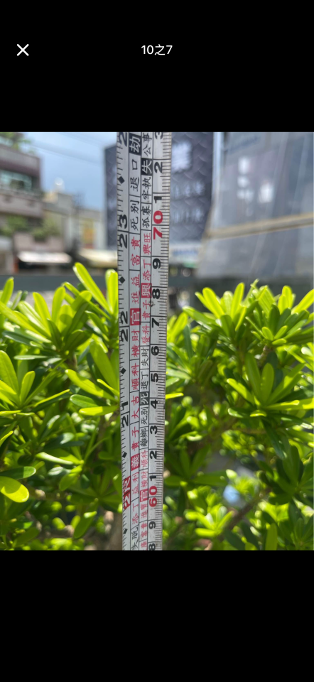 載貨運輸服務案件圖片