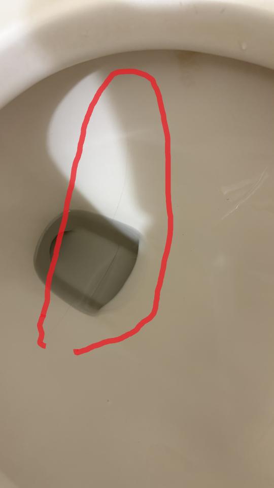 馬桶裝修案件圖片