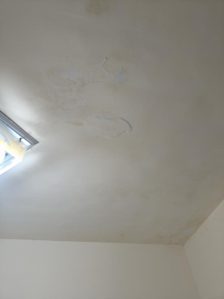 泥作/水泥施工案件圖片