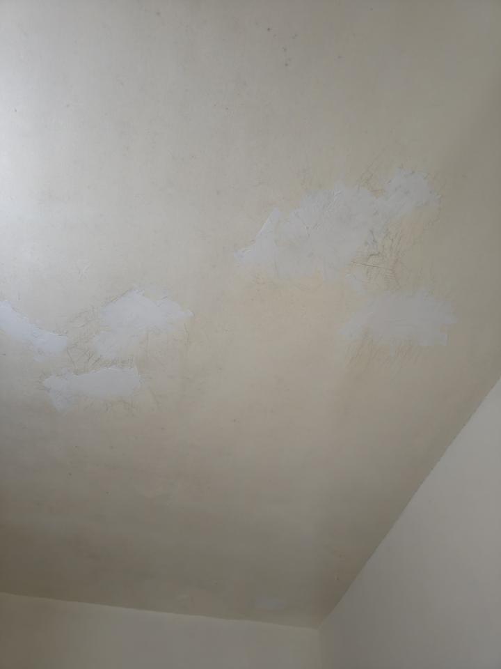 泥作/水泥施工案件圖片