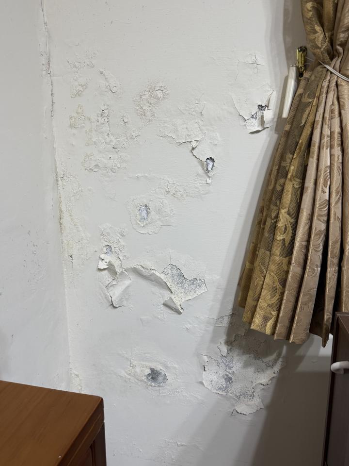 壁癌處理案件圖片