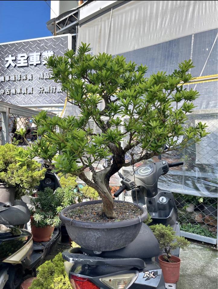 載貨運輸服務案件圖片