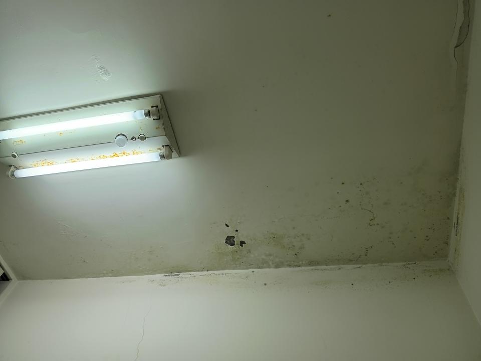 壁癌處理案件圖片