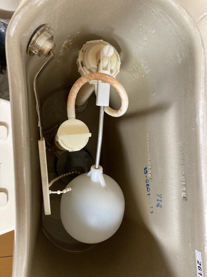 馬桶裝修案件圖片