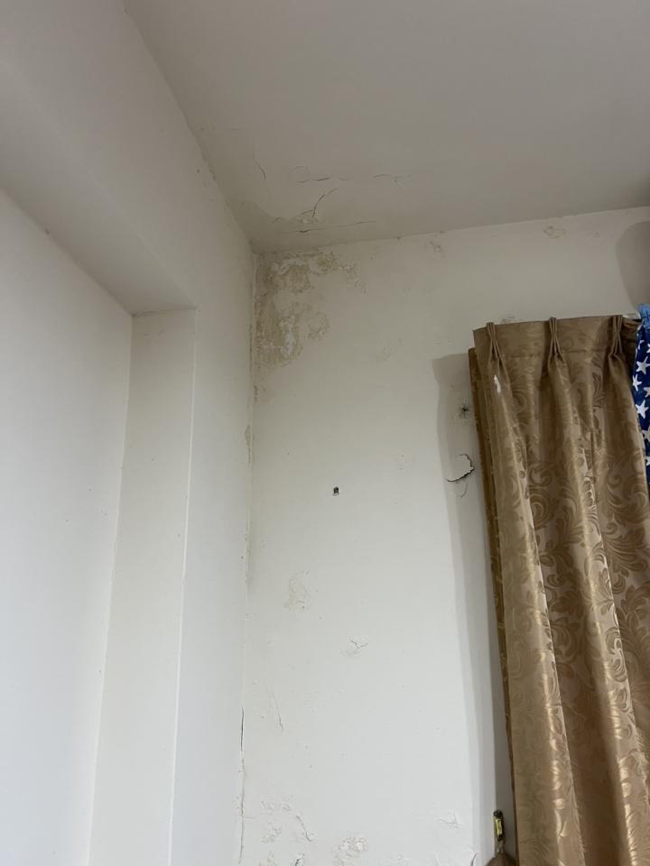 壁癌處理案件圖片