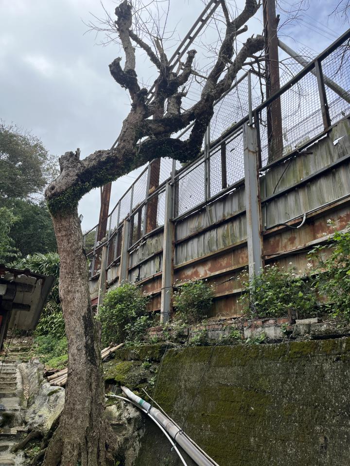 園藝維護案件圖片