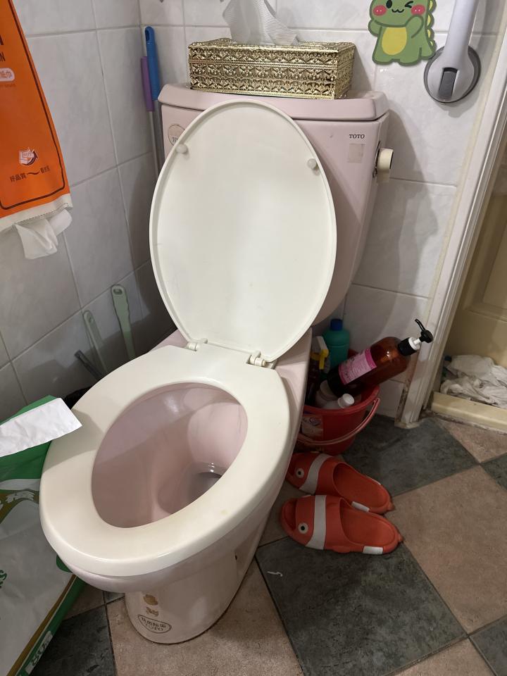 馬桶裝修案件圖片