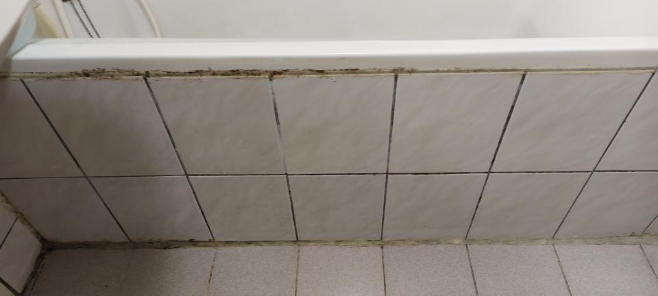 浴室除霉清潔案件圖片