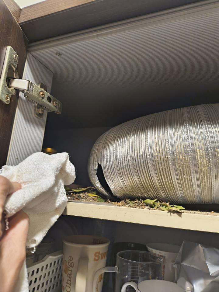 居家修繕案件圖片