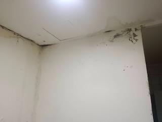 漏水處理案件圖片