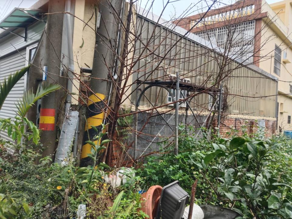 園藝維護案件圖片