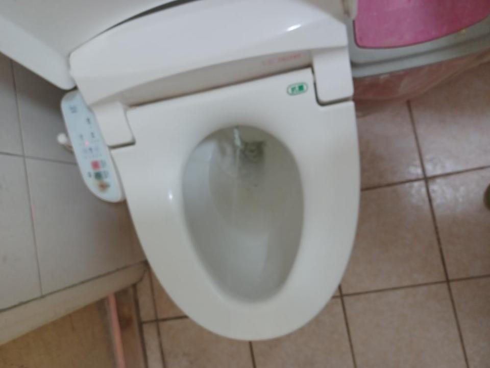 免治馬桶裝修案件圖片