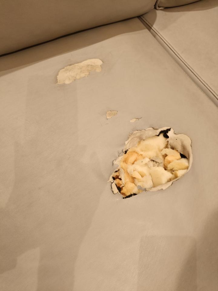 沙發修理案件圖片