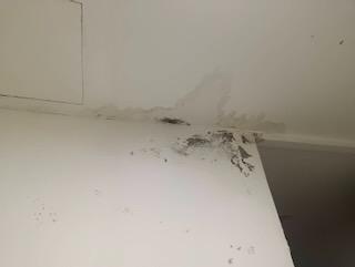 漏水處理案件圖片