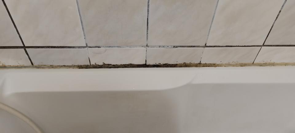 浴室除霉清潔案件圖片