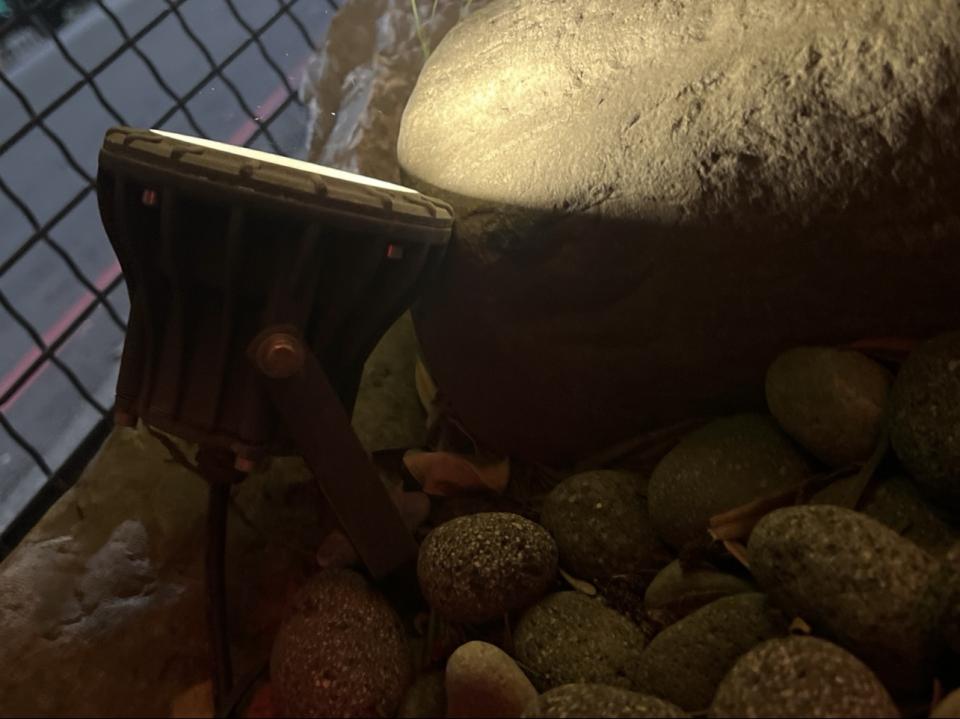 燈具安裝案件圖片