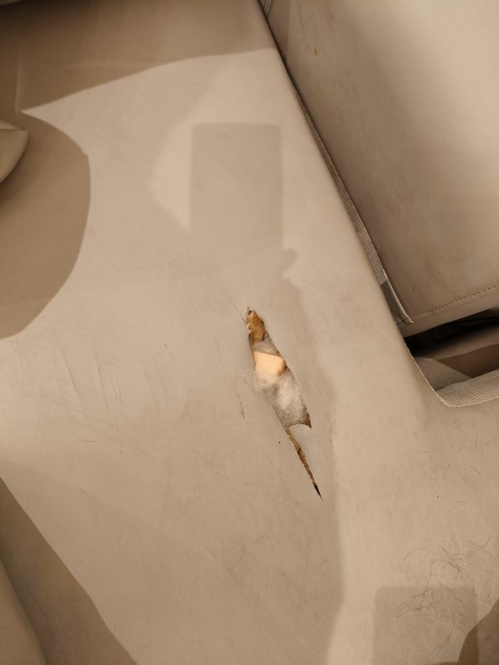 沙發修理案件圖片