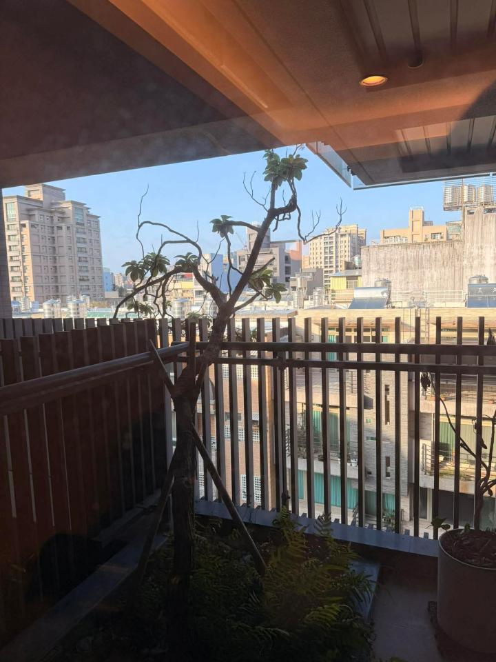 園藝維護案件圖片