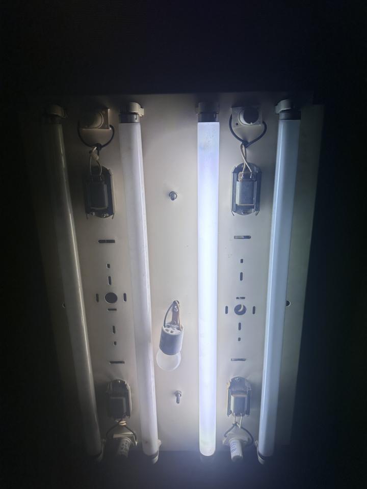 燈具安裝案件圖片