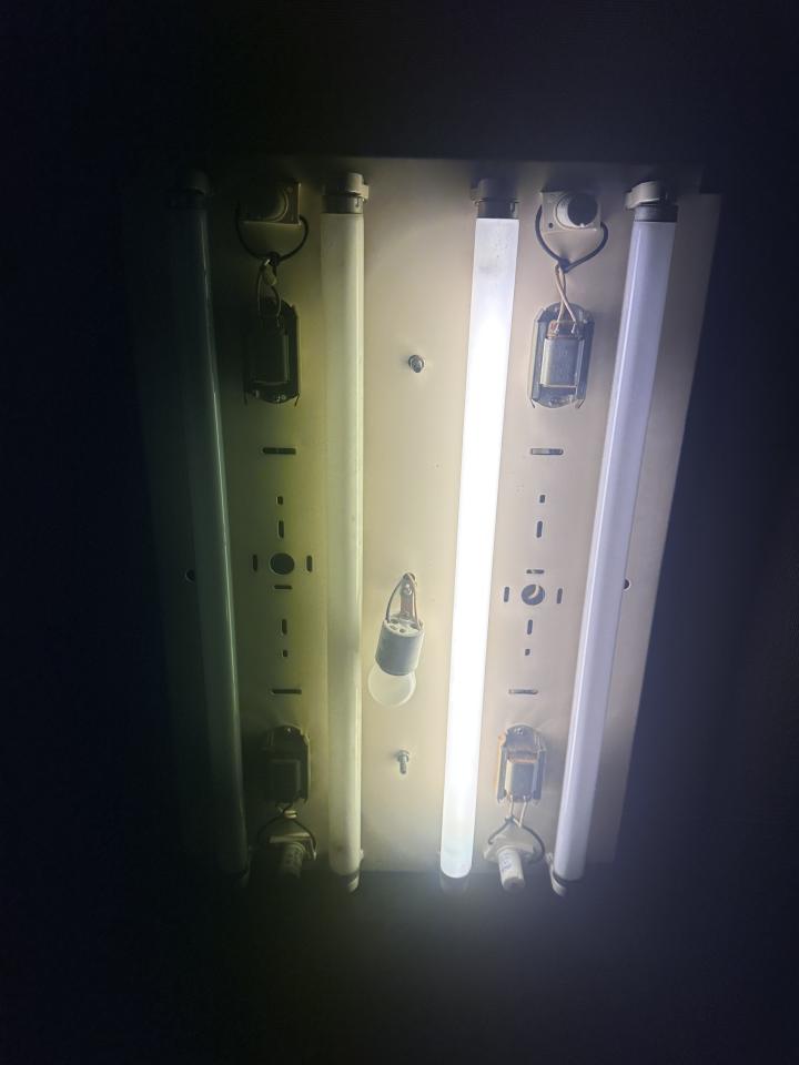 燈具安裝案件圖片