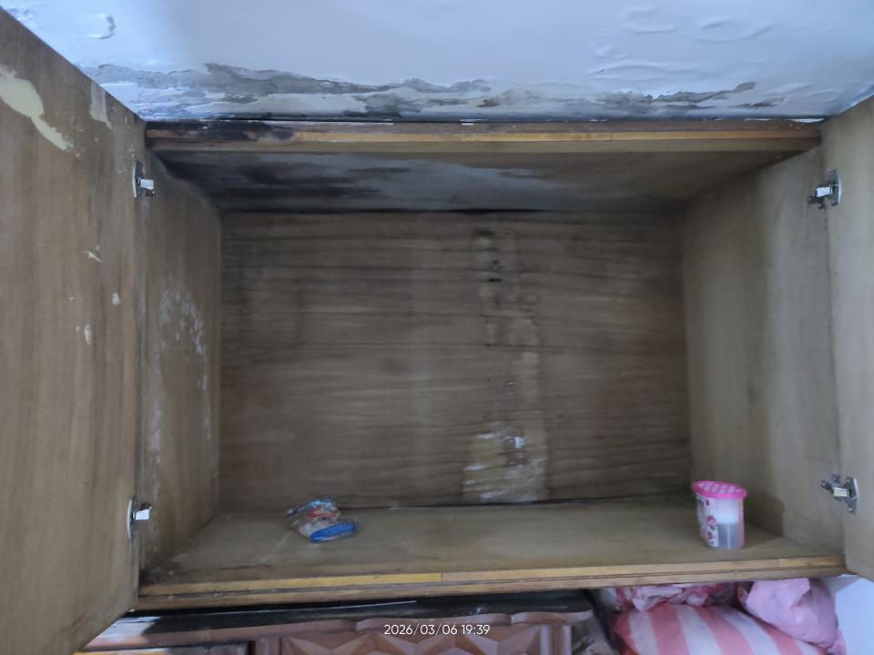 木工施工案件圖片