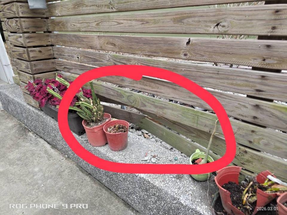 木工施工案件圖片