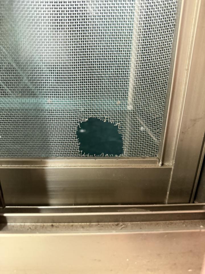 紗窗裝修案件圖片