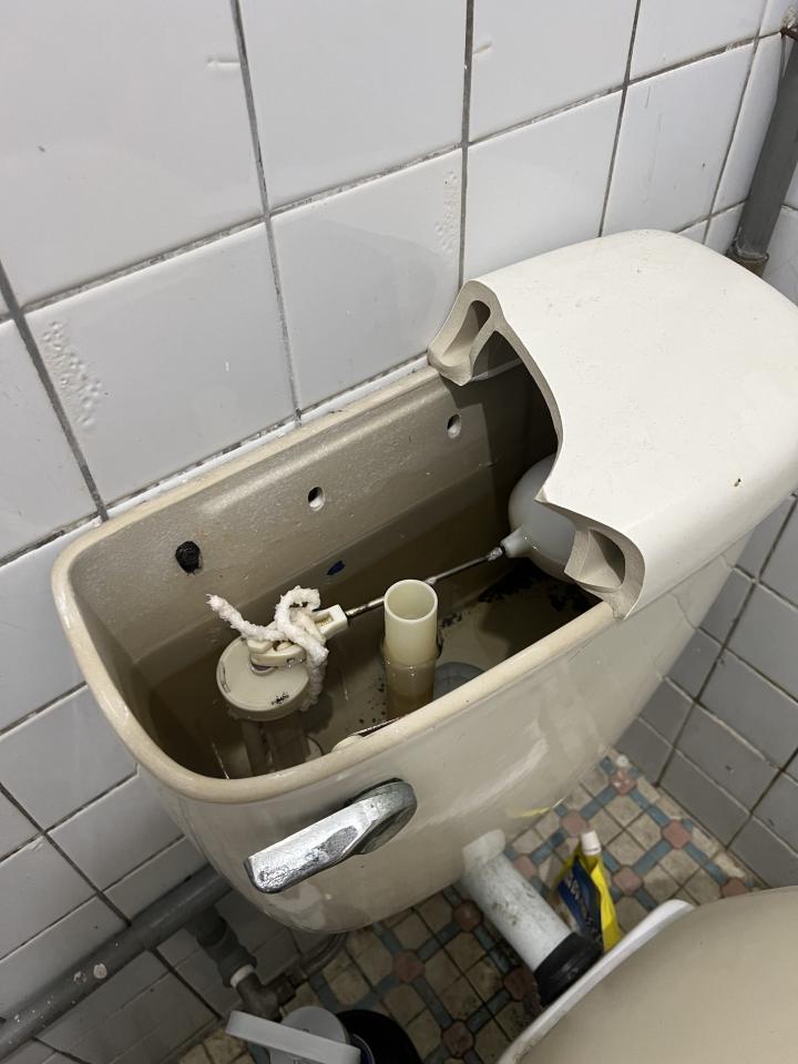 馬桶裝修案件圖片