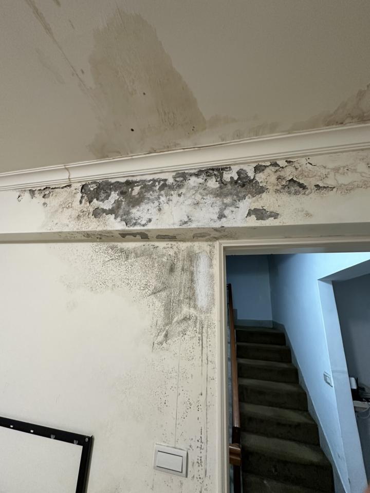 油漆工程案件圖片