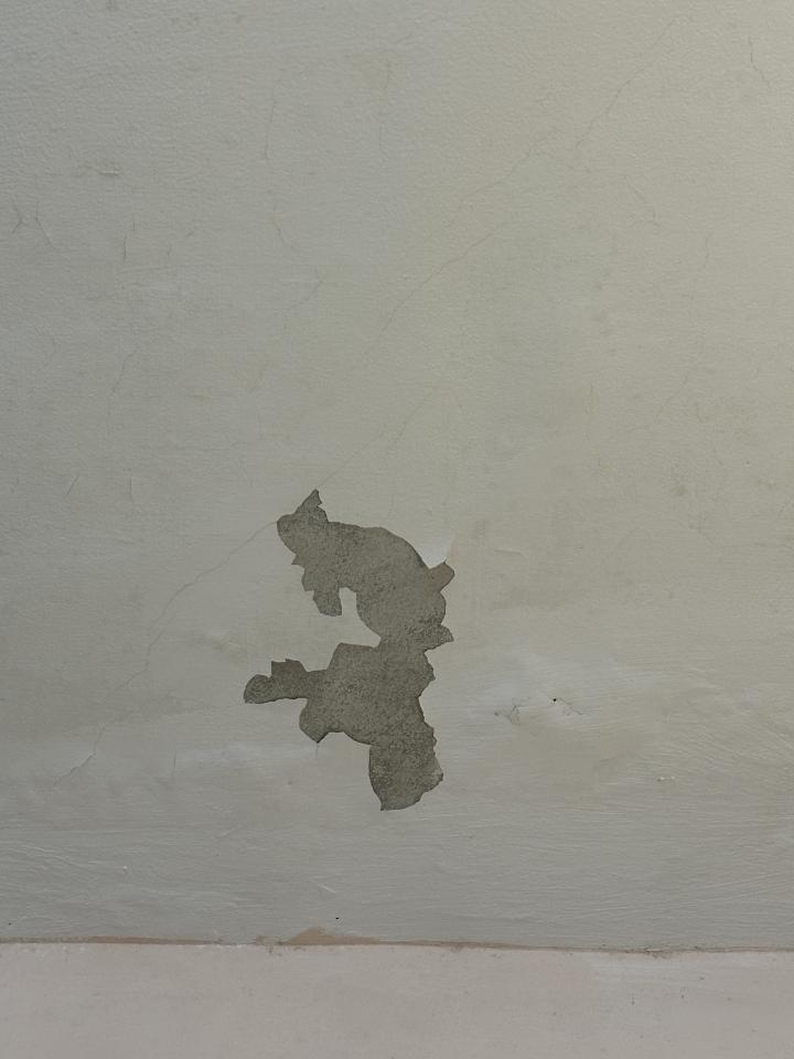 油漆工程案件圖片