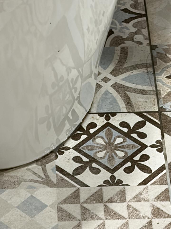 馬桶裝修案件圖片