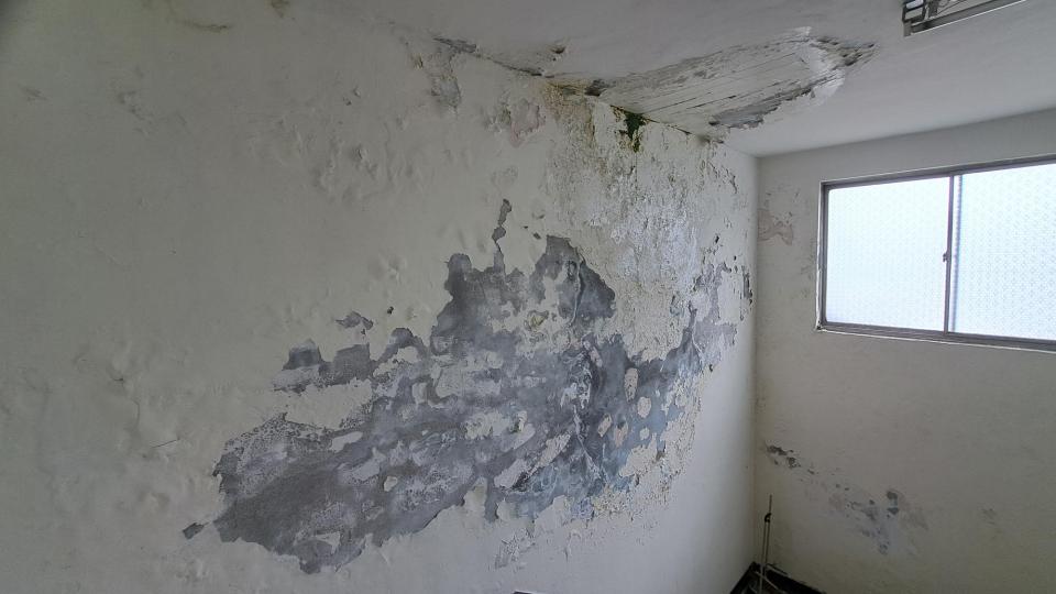 壁癌處理案件圖片