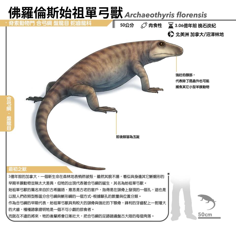 書籍印刷案件圖片