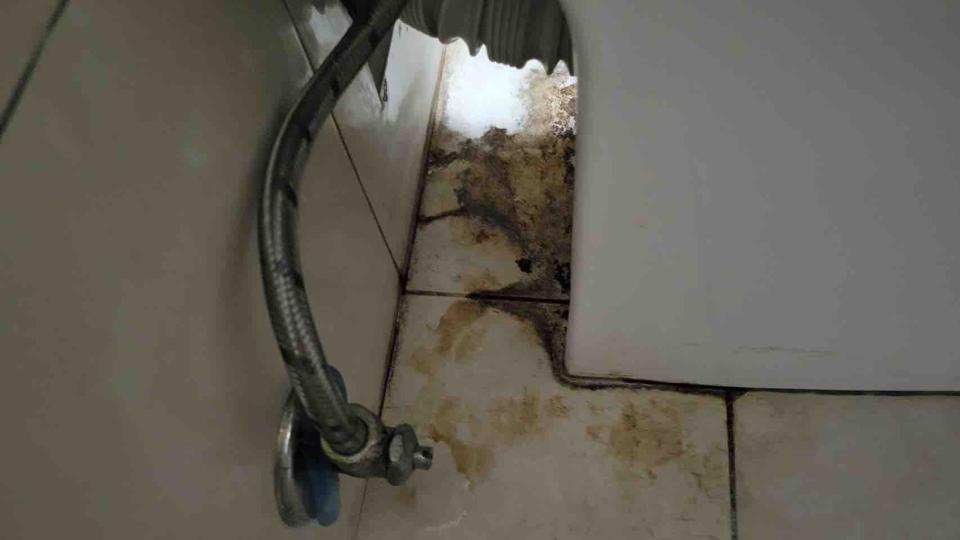 馬桶裝修案件圖片