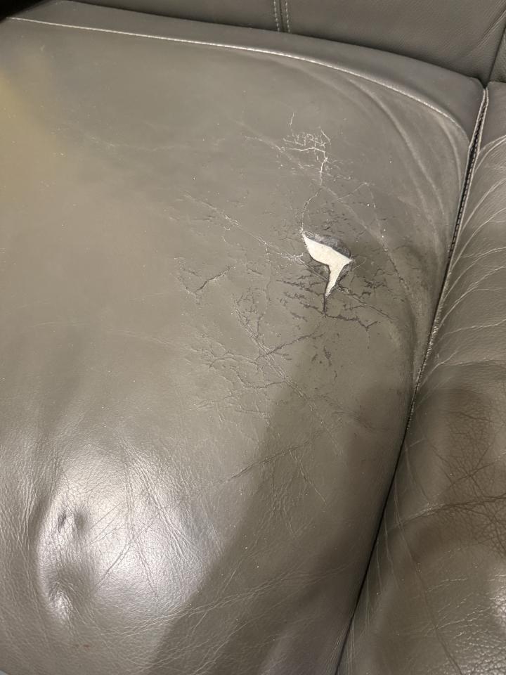 沙發修理案件圖片