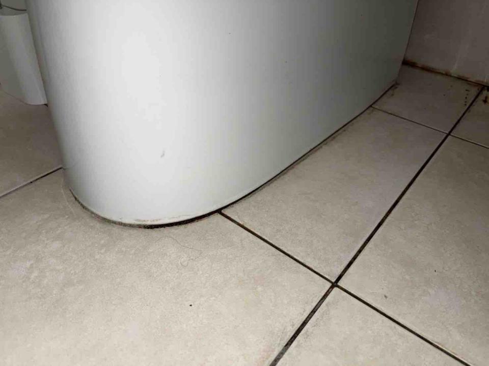 馬桶裝修案件圖片