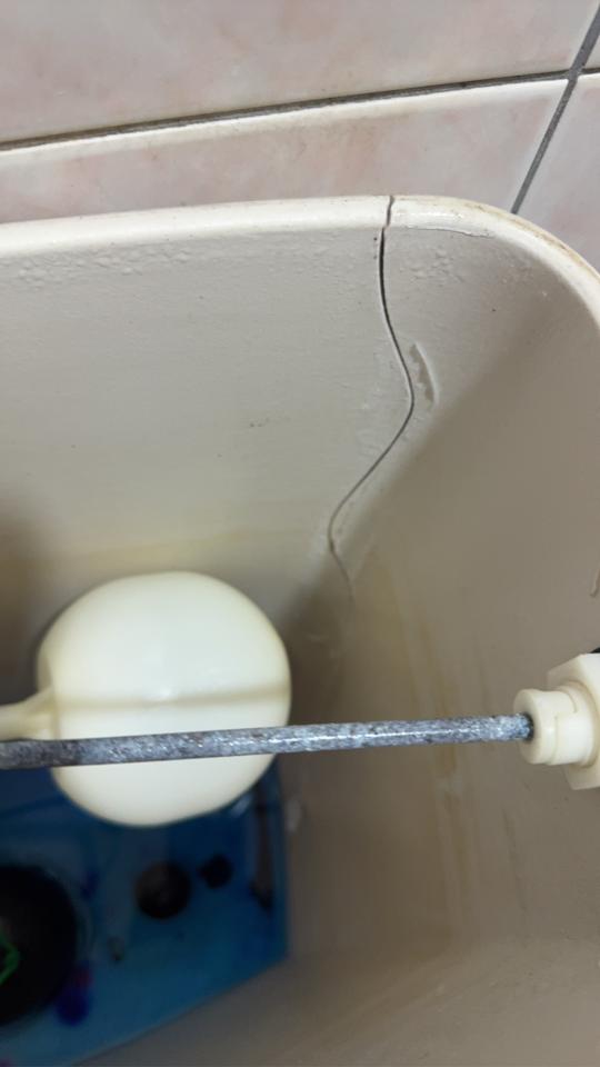馬桶裝修案件圖片