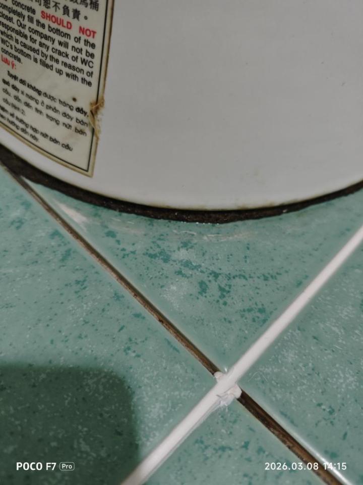 馬桶裝修案件圖片