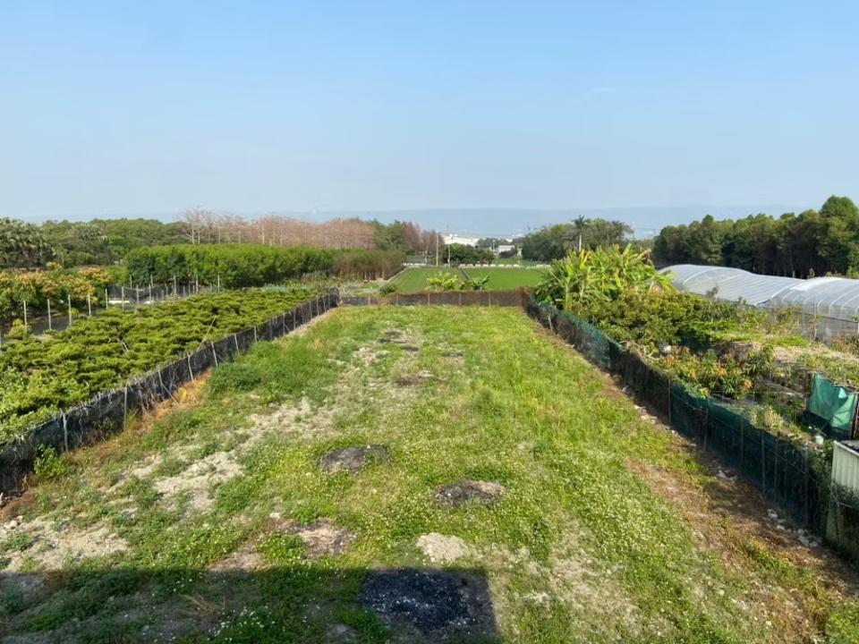 花園自動灑水系統案件圖片