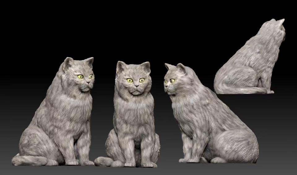 模型代工案件圖片