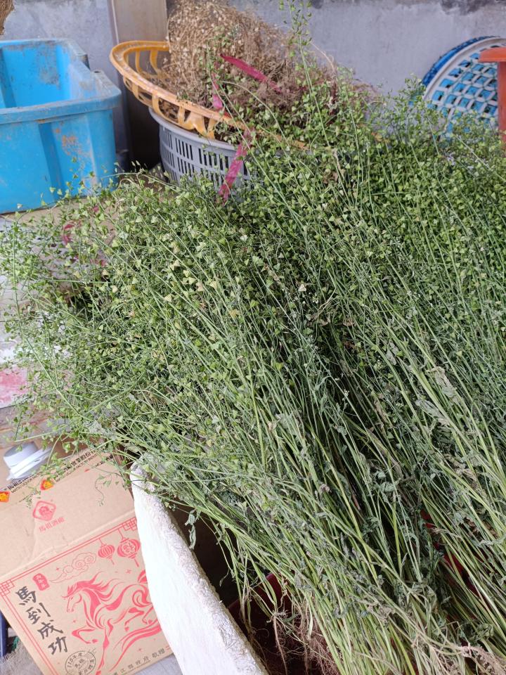 水塔漏水維修案件圖片