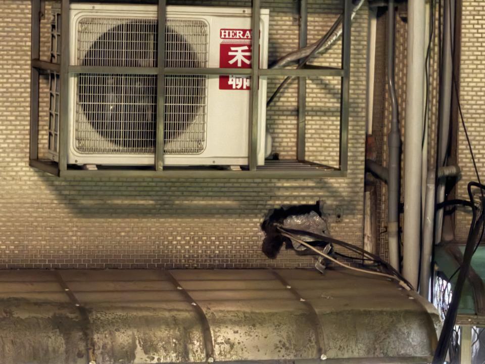 外牆裝潢板案件圖片