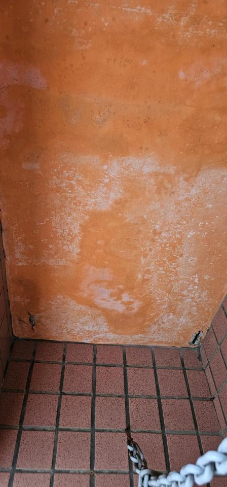 鋼筋外露處理案件圖片