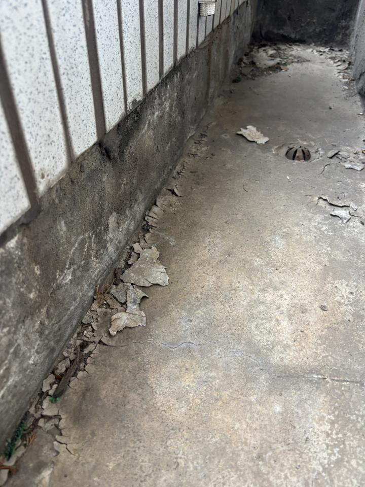 泥作/水泥施工案件圖片